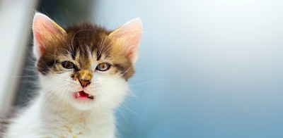 angry