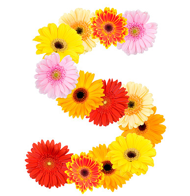 字母花卉组合