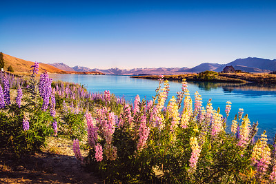 tekapo