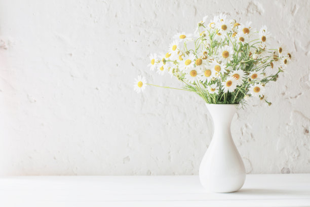daisy