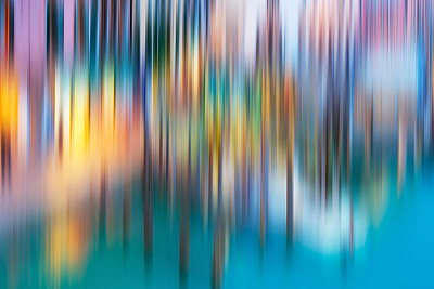 reflex