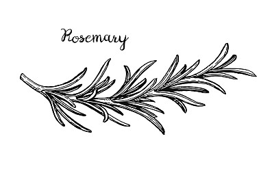 rosemary