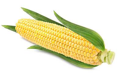 maize
