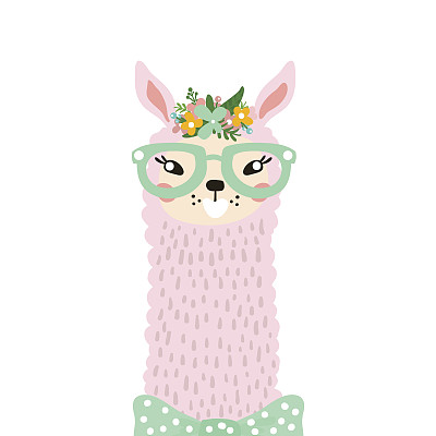 alpaca