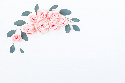 白背景上的玫瑰花