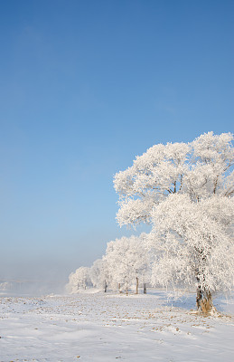 自然,垂直画幅,雪