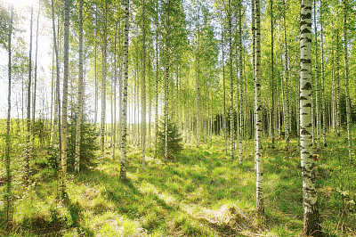 finland
