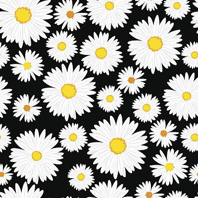 daisy