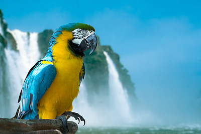 iguacu