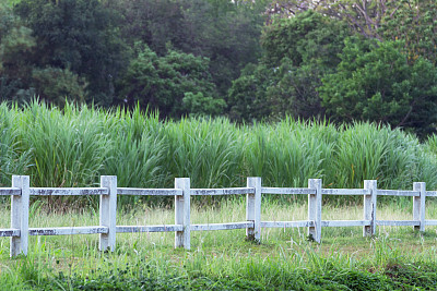 guardrail