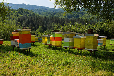 蜜蜂箱