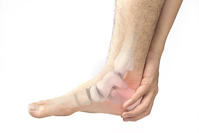 tibia