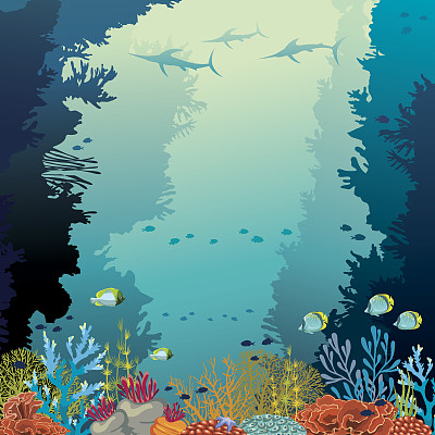 水下世界珊瑚热带鱼