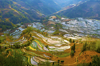 昆明背景板