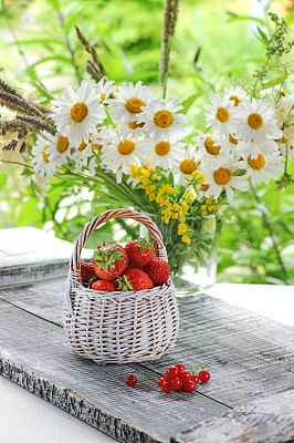 草莓花卉田园