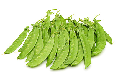 lathyrus