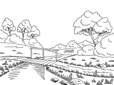sketch