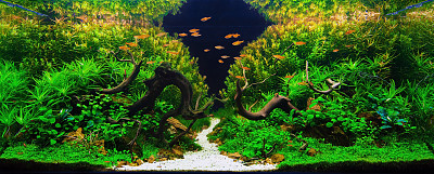 aquarium
