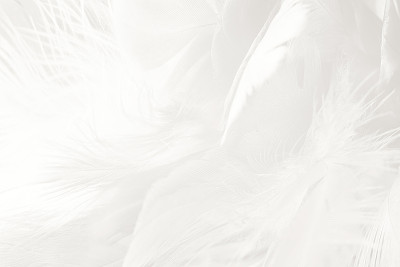feather