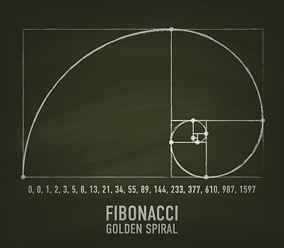 斐波那契螺旋线