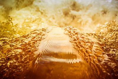 fluid