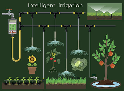irrigation