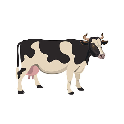 cattle