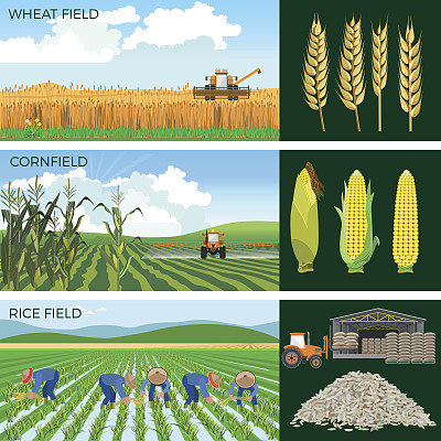 harvest
