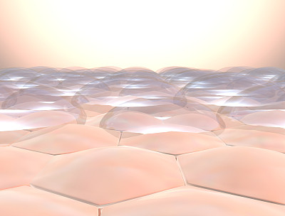 skin
