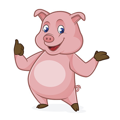 pig