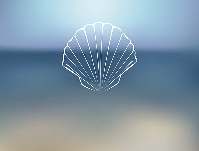 shells