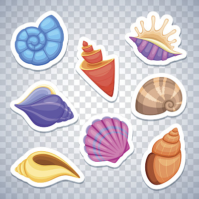 shells