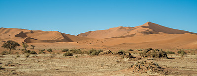 dune