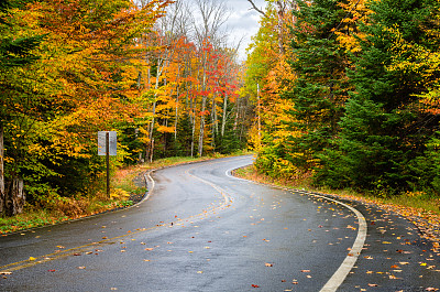 道路秋景