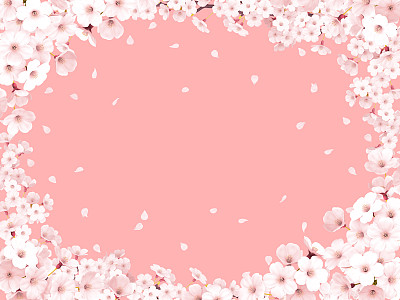 樱花节背景