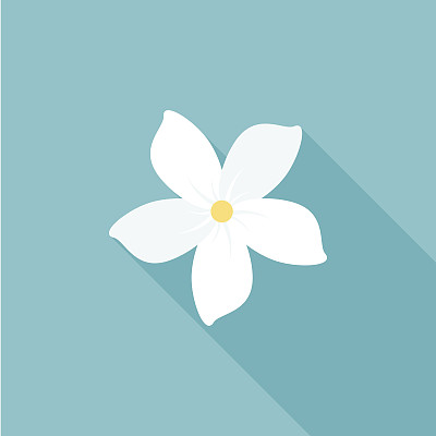 jasmine