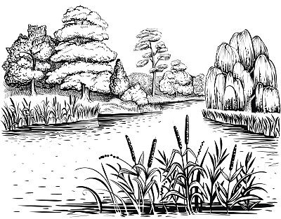湿地公园湖景
