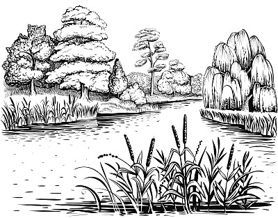 reed