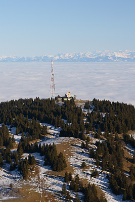 竖版运动文化墙