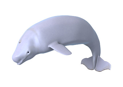 白鲸鱼
