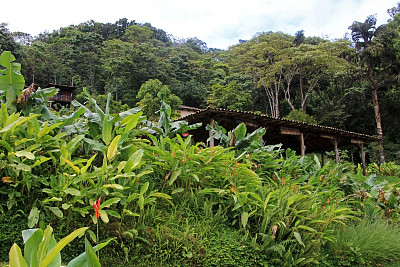 尼加拉瓜风景图