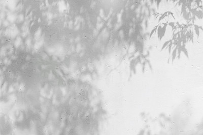 shadow