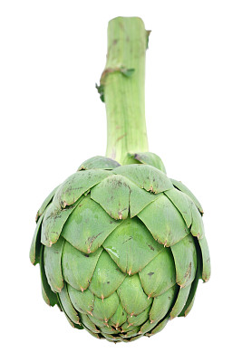artichoke