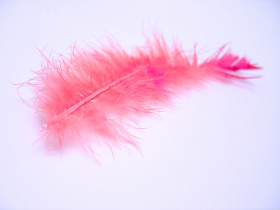 barb
