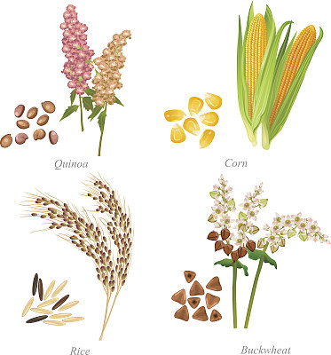 quinoa