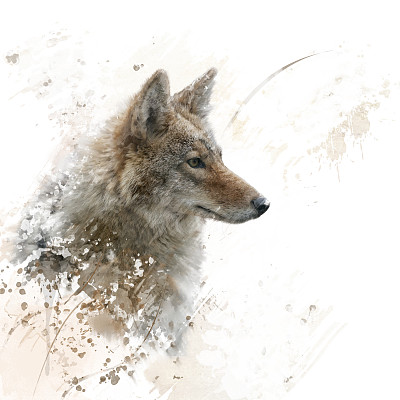 lupus
