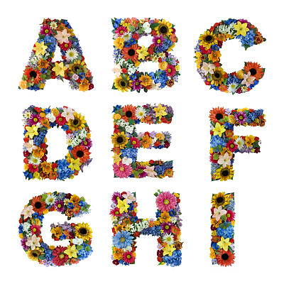 字母花卉组合