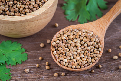 cilantro