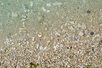 白珊瑚石
