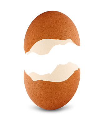 半个蛋